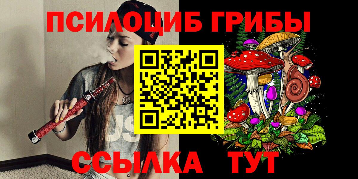 Псилоцибиновые грибы MAGIC MUSHROOMS  купить наркоту  Екатеринбург  Псилоцибиновые грибы GOLDEN TEACHER  Вход с VPN 